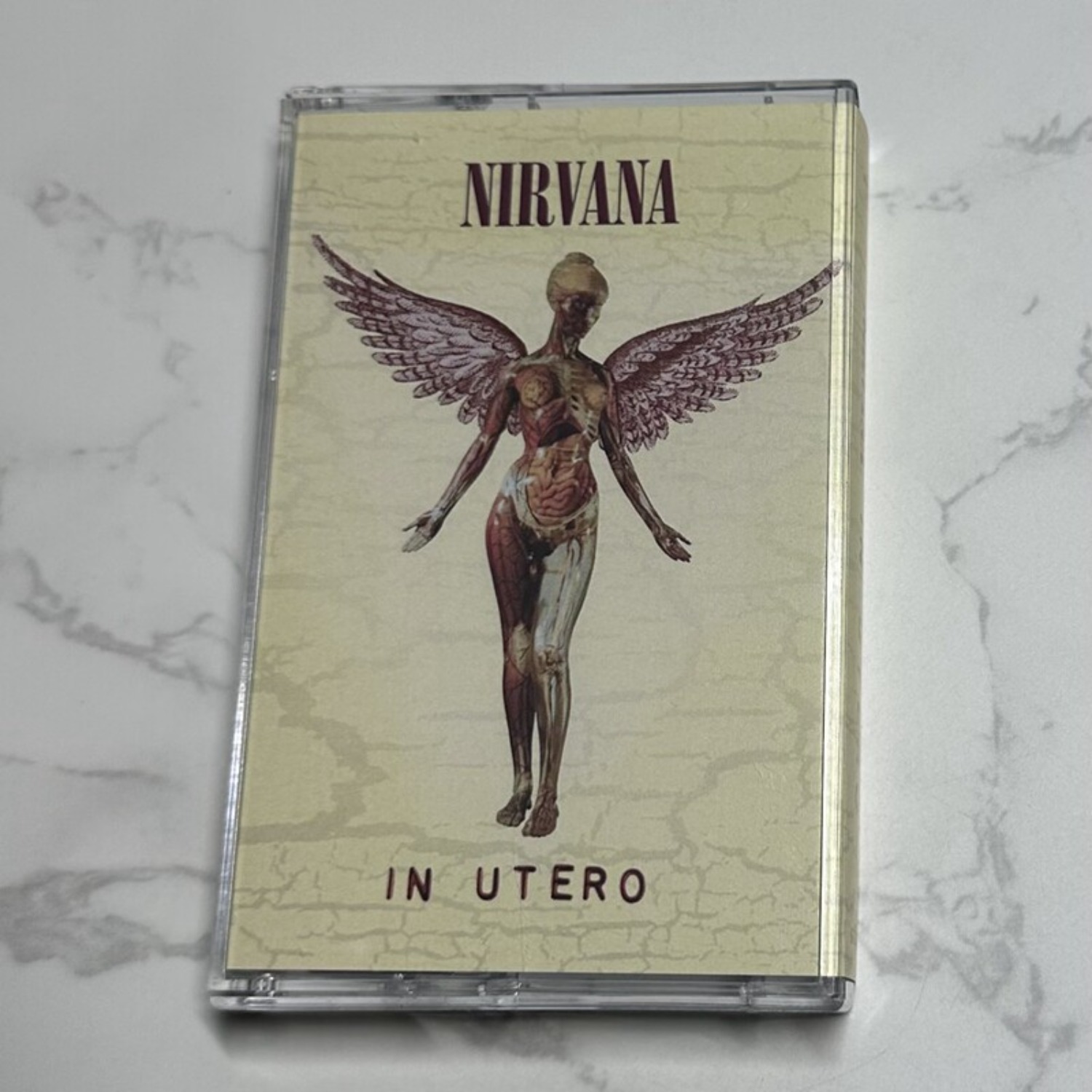 Nirvana Complete Album Collect - đánh giá và giá Vintage Collection