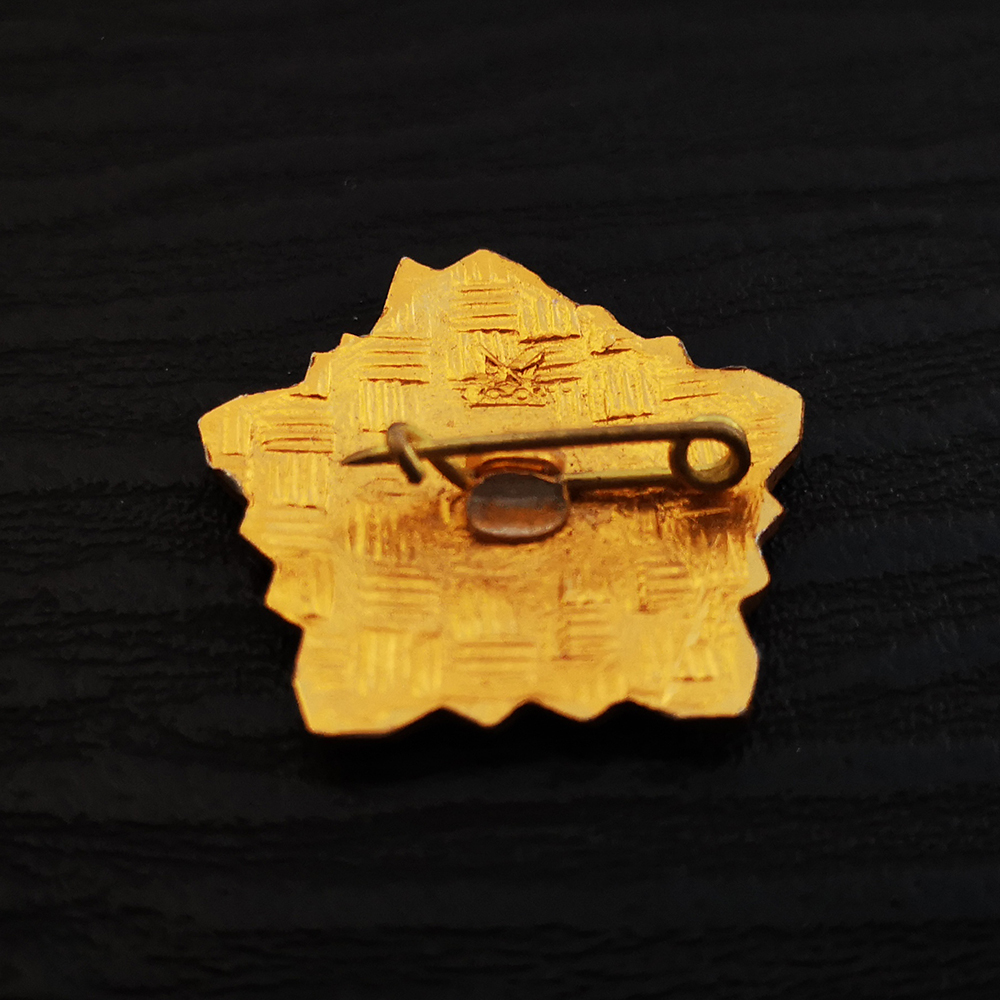 Russia USSR Badge Lapel Pins V - đánh giá và giá Vintage Collectible Classics